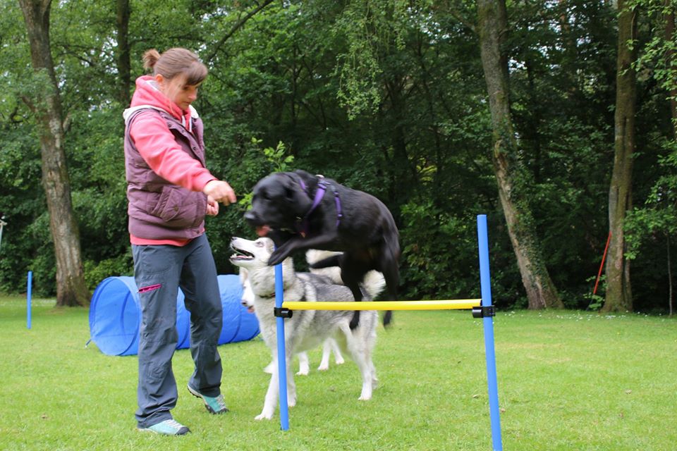 PARPS Agility_in_use