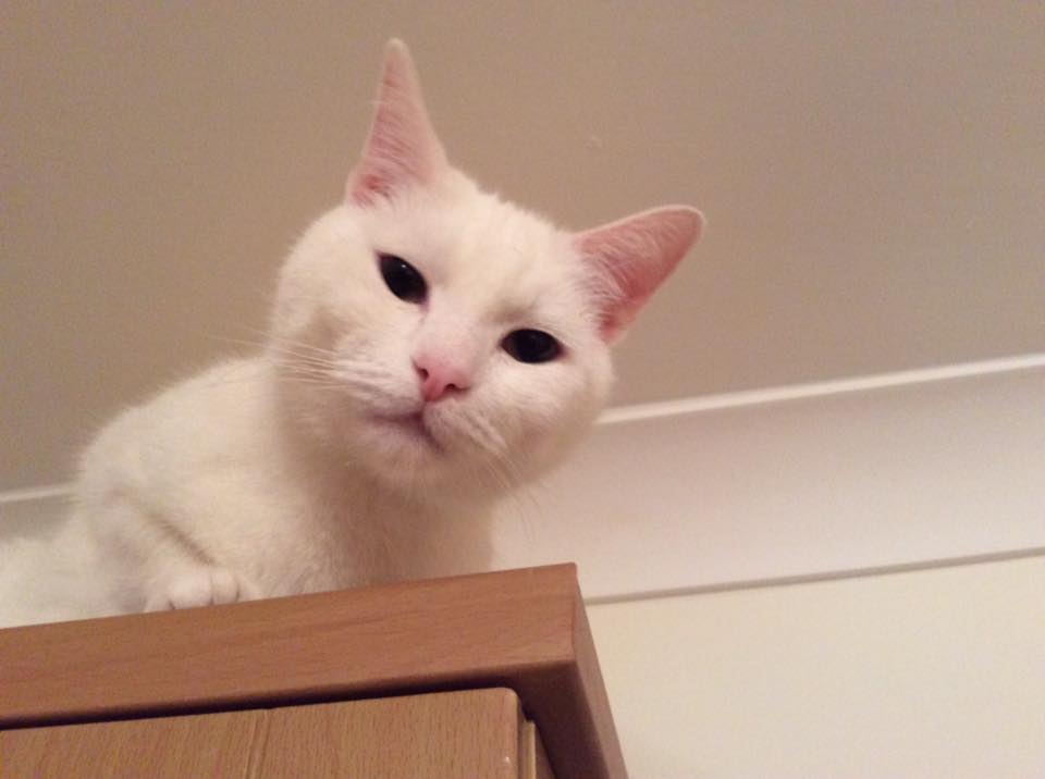 I am watching you_in_use